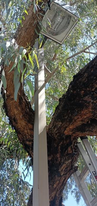 45581299__File__09-19-2025__15-06-21__Screenshot 2025-05-19 092303.png